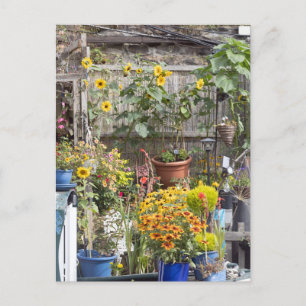 Flower garden and narrow boat postcard