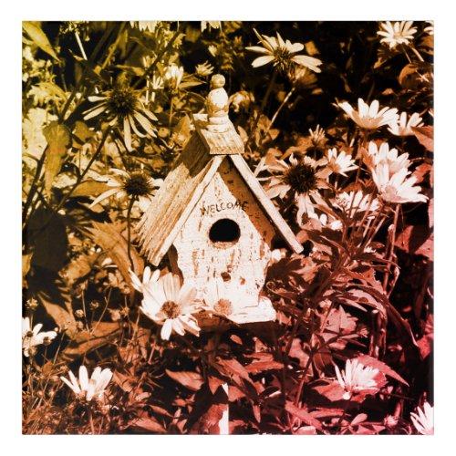 Flower Garden Bird House Black And White Vintage  Acrylic Print