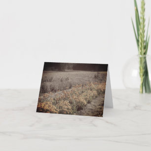 Flower Garden Black And White Vintage Note Card