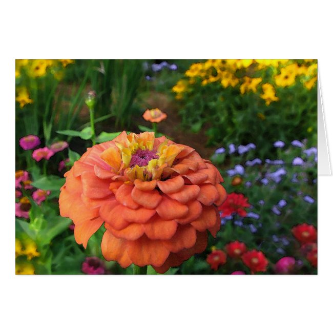 Flower Garden Colors Card