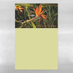 Flower Garden Dry Erase Magnetic Sheet