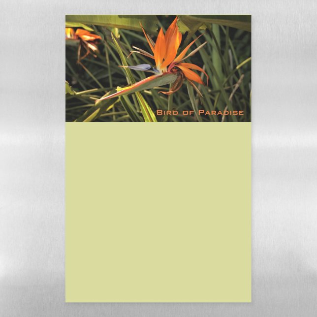 Flower Garden Dry Erase Magnetic Sheet (Vertical)