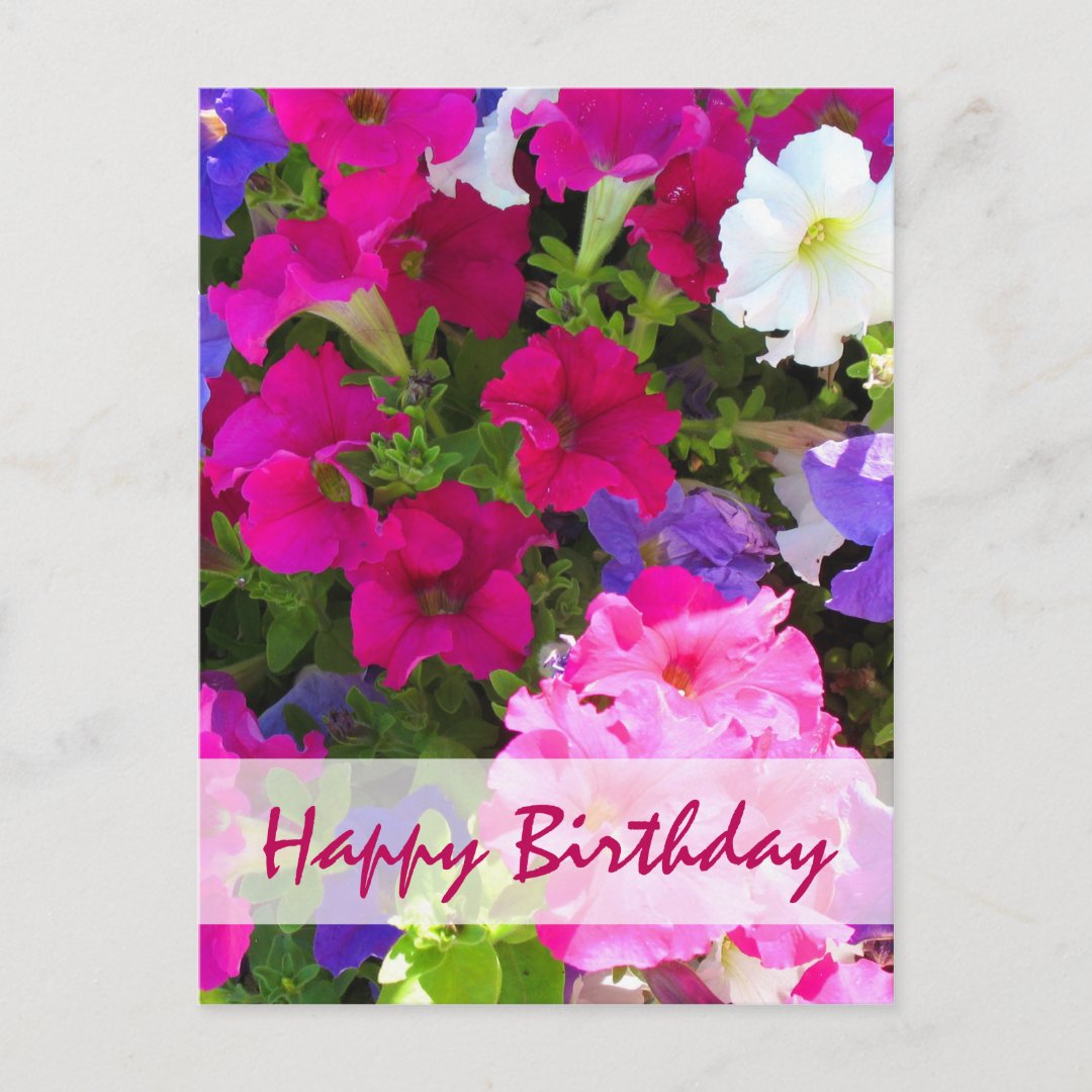 flower garden happy birthday postcard | Zazzle