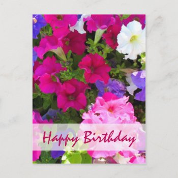 Flower Garden Happy Birthday Postcard by DonnaGrayson_Photos at Zazzle