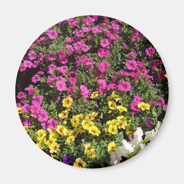 Flower-garden Magnet (Front)