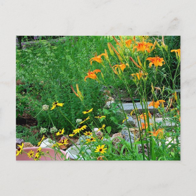 Flower Garden Path Photograph Postcard (Front)