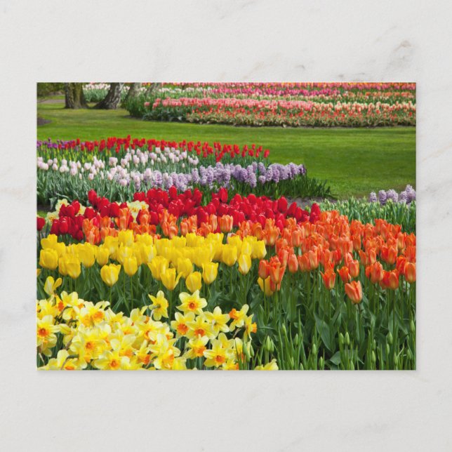 Flower Garden Postcard (Front)