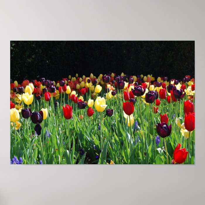 Flower Garden Poster