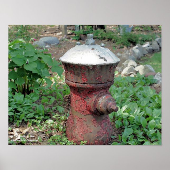 Flower Garden Rusty Fire Hydrant Poster (Front)