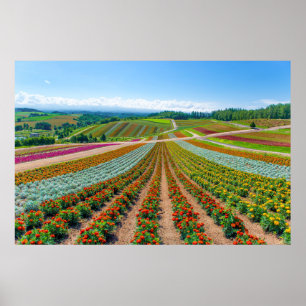 Flower Garden   Shikisai No Oka Flower Farm Poster