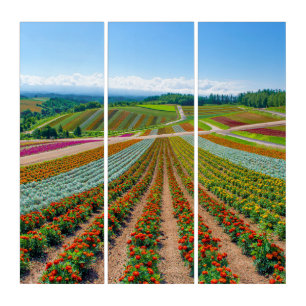 Flower Garden Shikisai No Oka Flower Farm Triptych