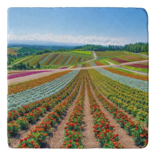 Flower Garden  Shikisai No Oka Flower Farm Trivet