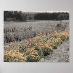 Flower Garden Vintage Partial Color Poster