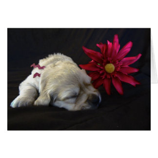 Flower Grace Cards