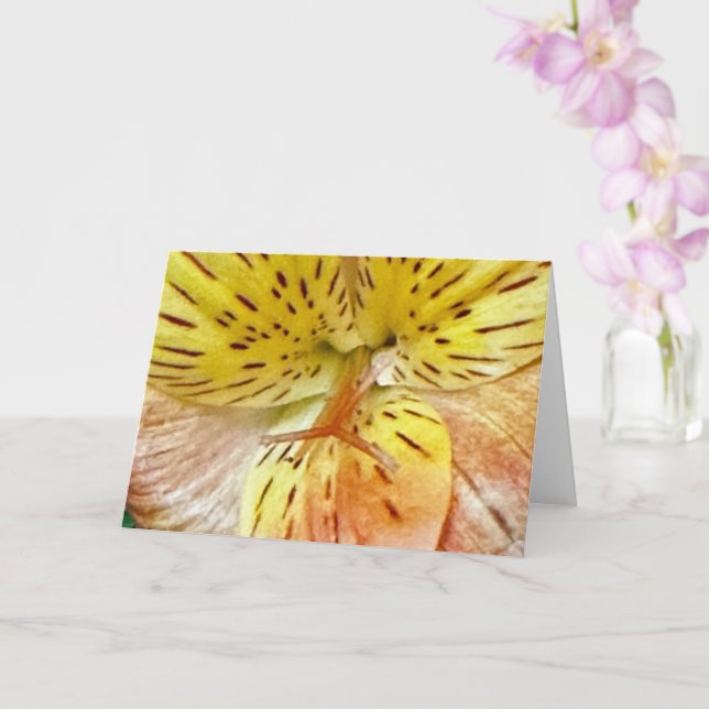 Flower Greeting Card (Orchid)