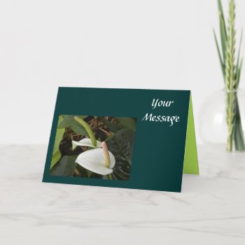 Flower Greeting Card Template by bluerabbit at Zazzle