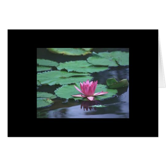 Flower Greeting Cards