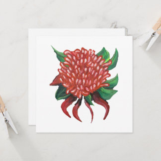 Flower Hand drawn Waratah Invitation