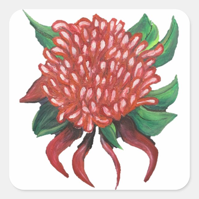 Flower Hand drawn Waratah Stickers (Front)