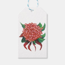 Flower Hand drawn Waratah Stickers