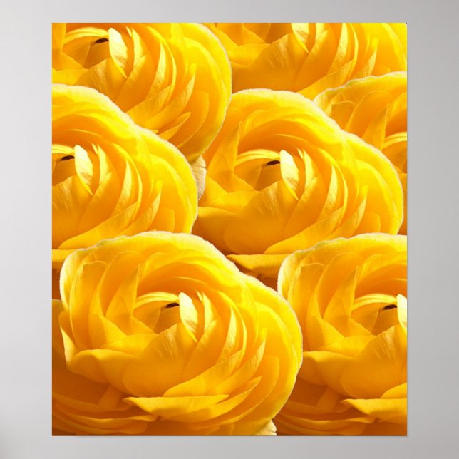 Flower-Impressions I Poster (Front)