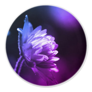 Flower In Sunlight Black And White Color Tint Ceramic Knob