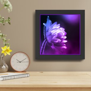 Flower In Sunlight Black And White Tinted Framed Art