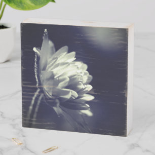Flower In Sunlight Black And White Wooden Box Sign
