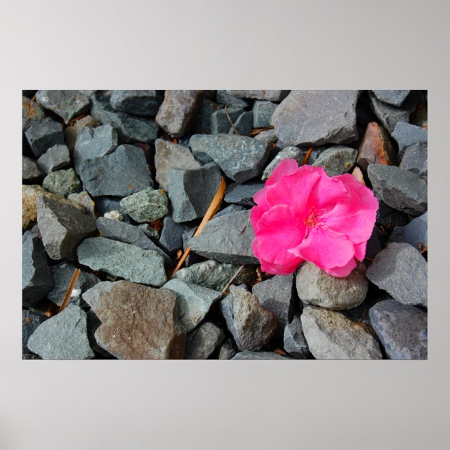 "Flower in the Rough" poster (Front)