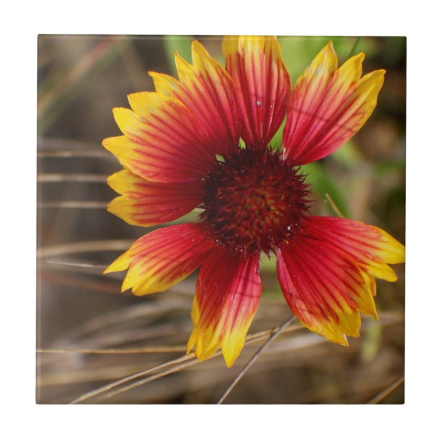 Flower in the Wind Ceramic Tile (Front)