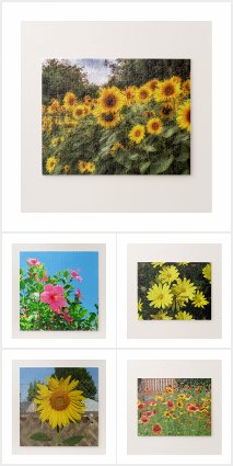 Flower - Jig Saw Puzzle