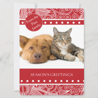 Flower Jungle season's Greetings Holiday Card