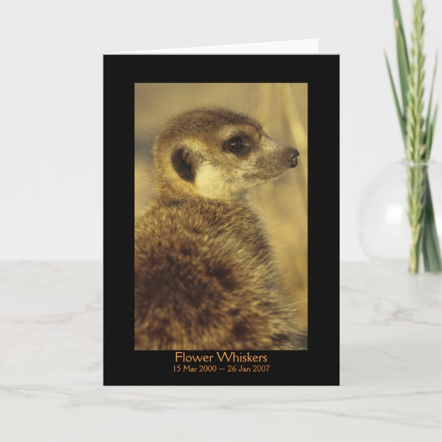 Flower - Legends Card (Front)