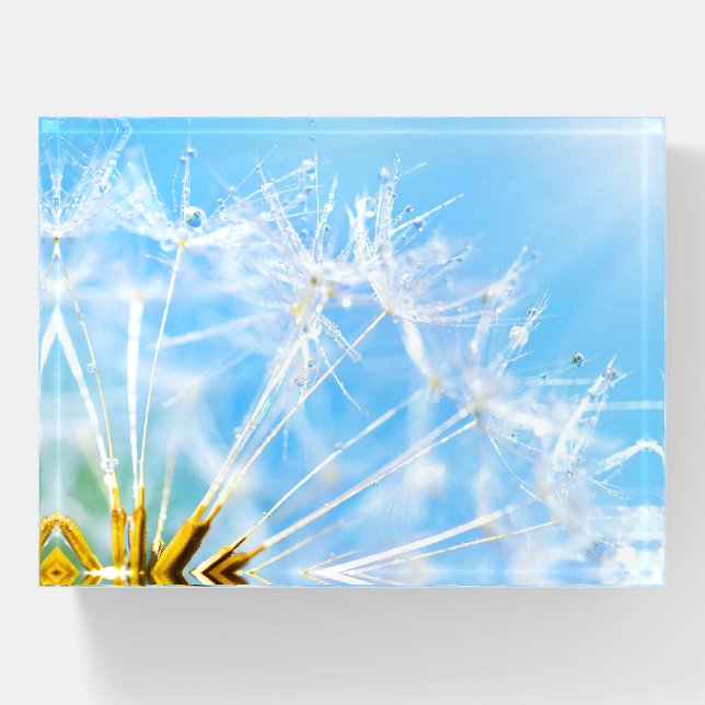 Flower Lover | Beautiful Dandelion Flower Paperweight (Front)