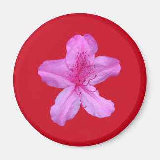 Flower Magnet