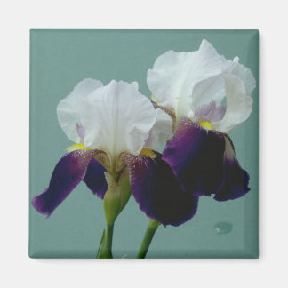 Flower Magnet