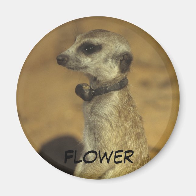 Flower Magnet (Front)