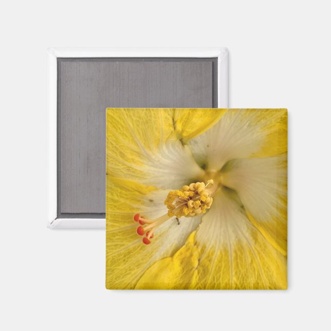 Flower Magnet (Front/Back)