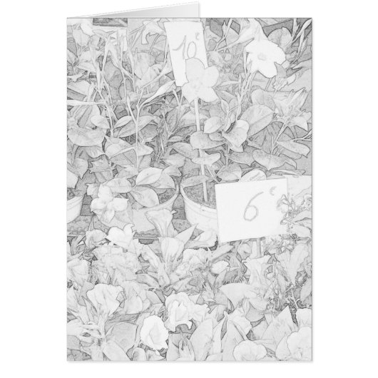 Flower Market Coloring Cards (Front)