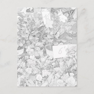 Flower Market Coloring Postcard