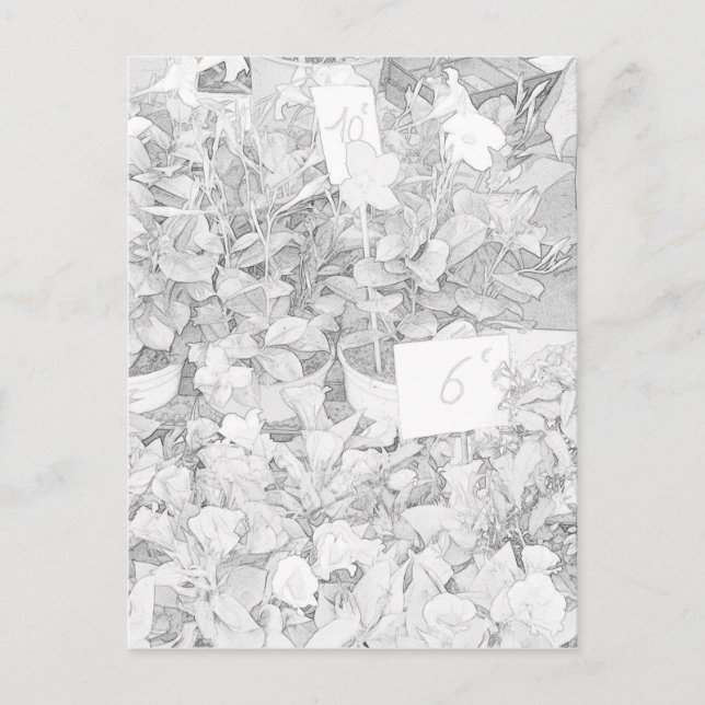 Flower Market Coloring Postcard (Front)