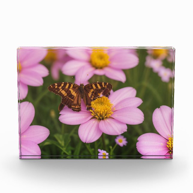 flower meadow acrylic award (Front)