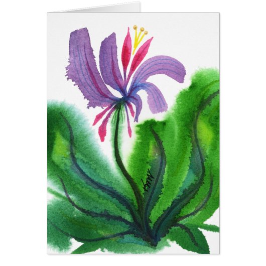 Flower, Mini 002 Cards (Front)