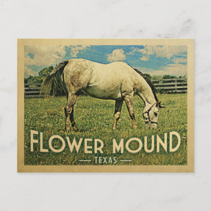 Flower Mound Texas Horse Farm -Vintage Travel Postcard