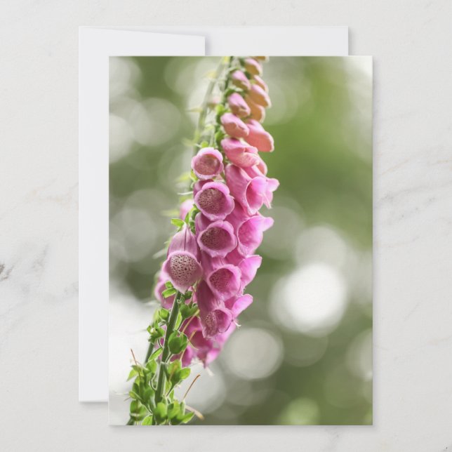 Flower Nature Photo Card (Front)