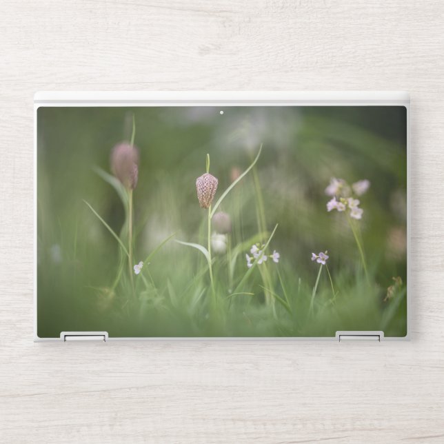 Flower Nature Photo HP Laptop Skin (Front)