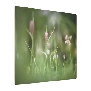 Flower Nature Photo Metal Print