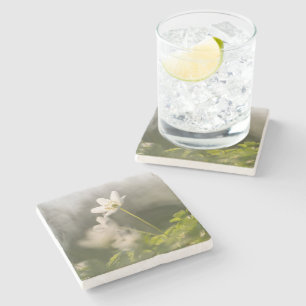 Flower Nature Photo Stone Coaster