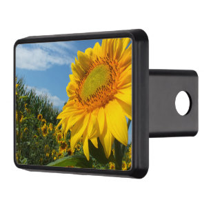 flower, nature, sun, plant, summer, sunflower, hitch cover