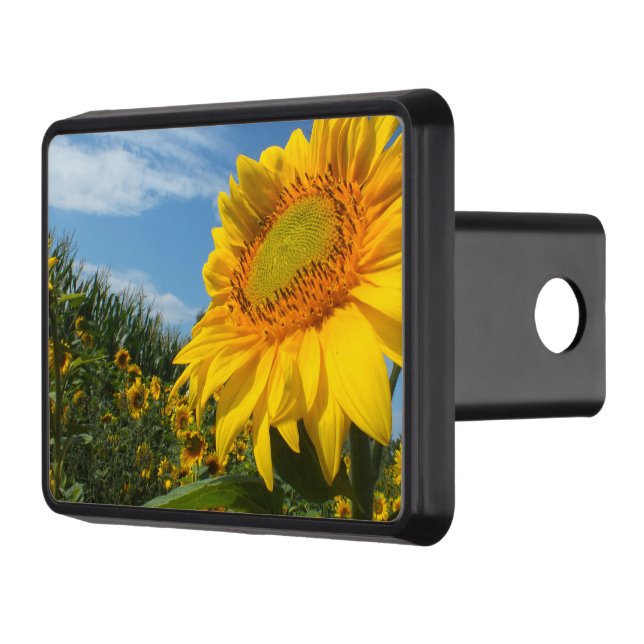 flower, nature, sun, plant, summer, sunflower, hitch cover (Left)